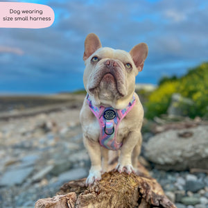 Tough Trails™ Harness - PPB Pastel Swirl