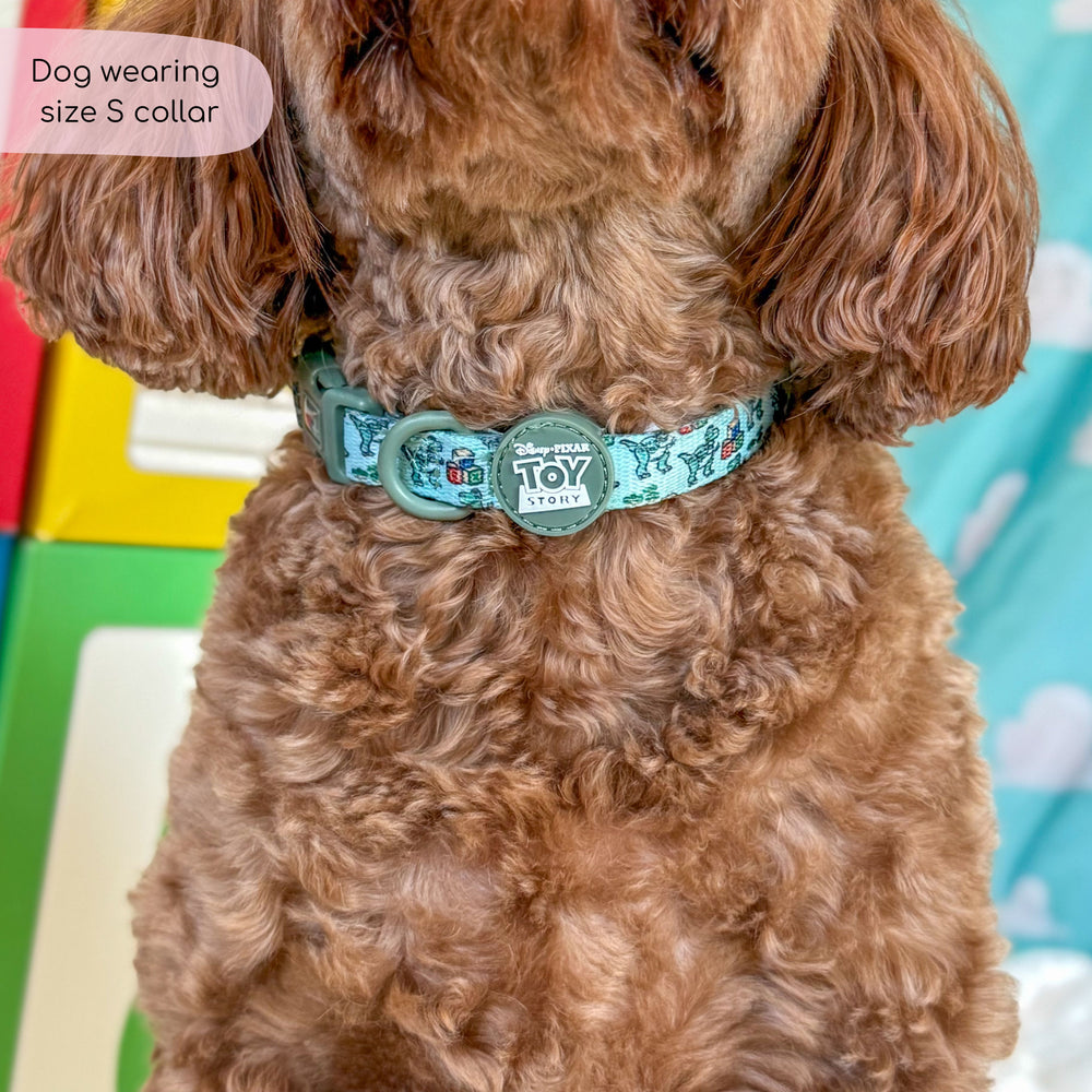Disney© Collar - Rex