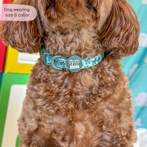 Disney© Collar - Rex