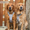 Disney© Tough Trails™ Harness - Winnie The Pooh