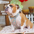 Disney© Tough Trails™ Harness - Winnie The Pooh