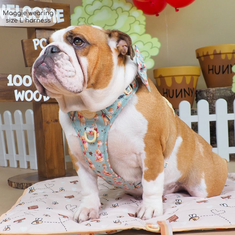 Disney© Tough Trails™ Harness - Winnie The Pooh