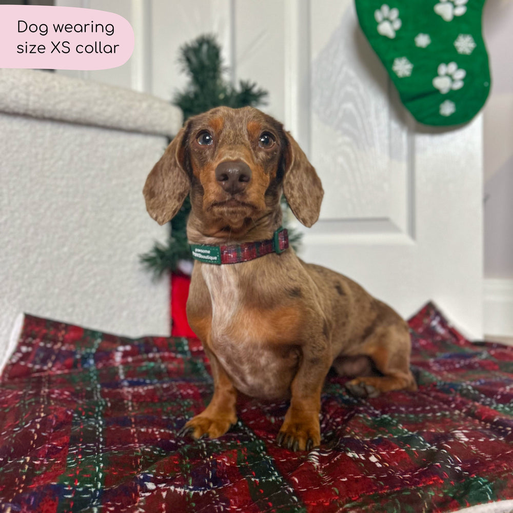 Collar - Yuletide Plaid