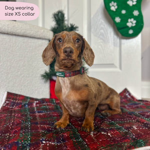 Collar - Yuletide Plaid