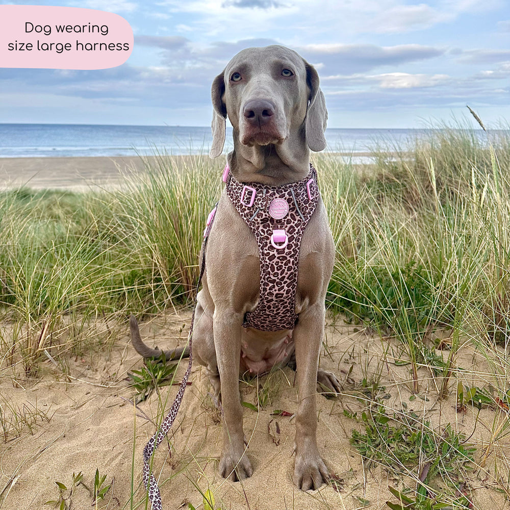 Tough Trails™ Harness -  Leopard Print