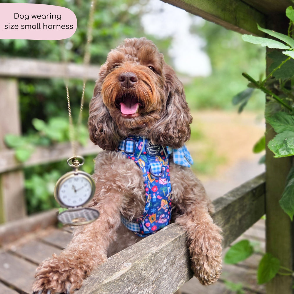 Disney© Tough Trails™ Harness - Alice In Wonderland