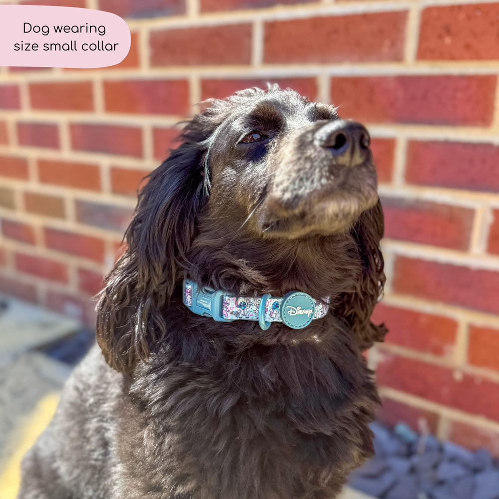 Disney© Collar - Stitch's Slumber Party