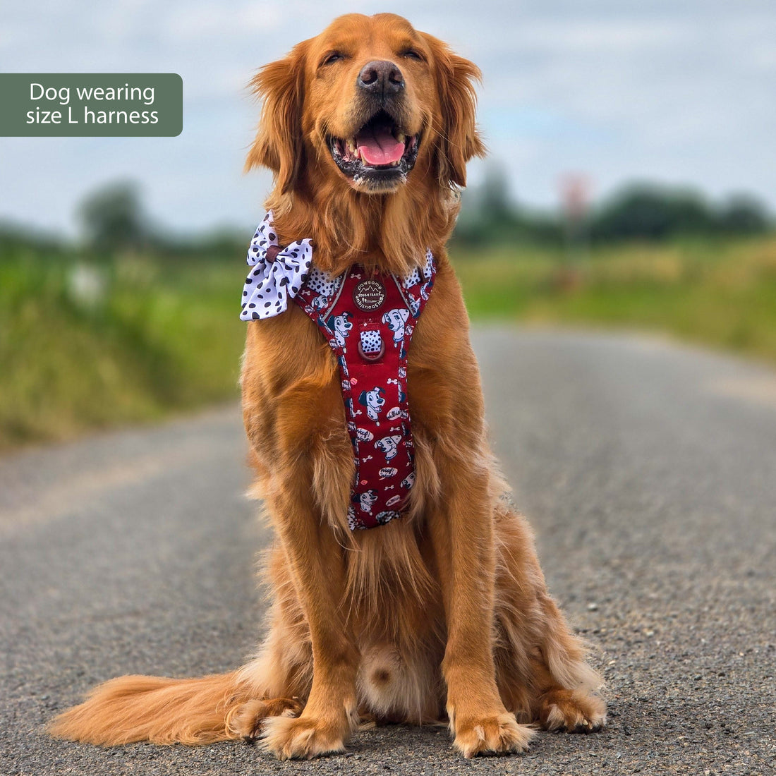 Disney© Tough Trails™ Harness - 101 Dalmatians