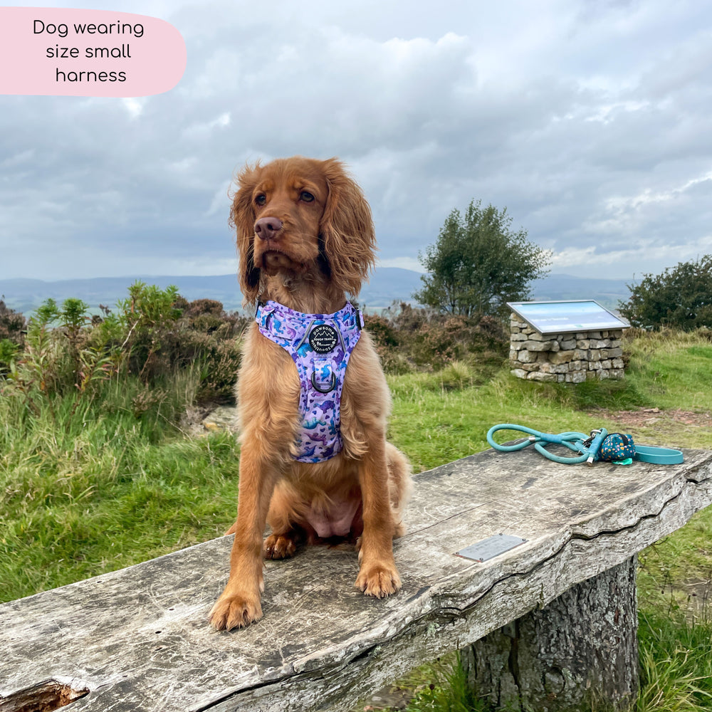 Tough Trails™ Harness - Tiny Diny