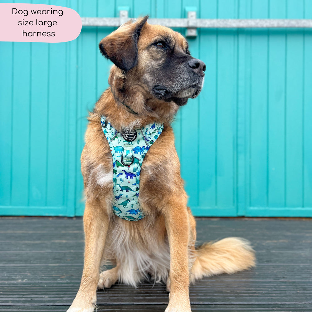 Tough Trails™ Harness - Dinky Dino