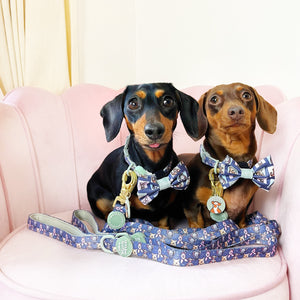 Disney© Bow Tie - Winnie + Friends