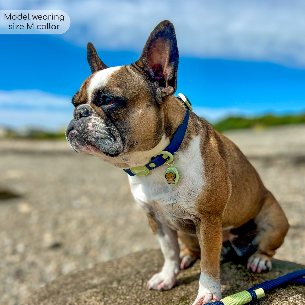 Disney© Waterproof Collar - Simba