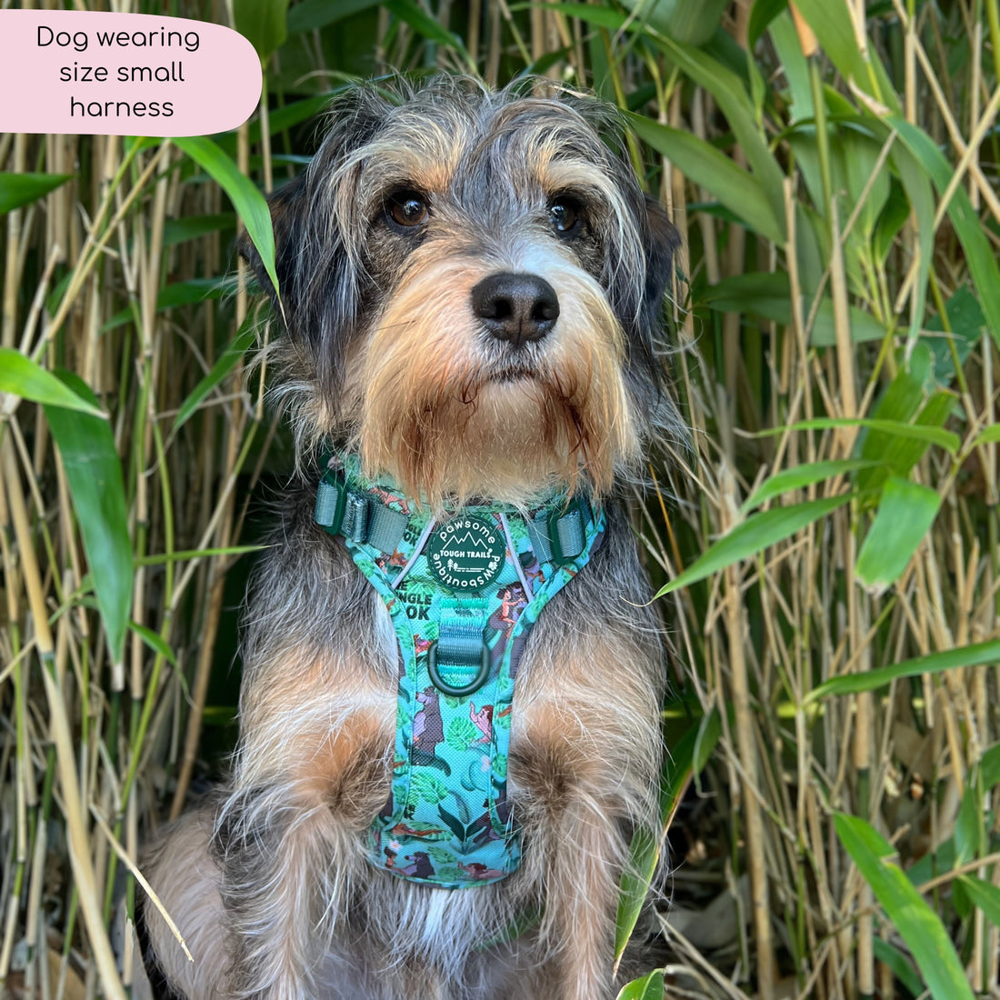 Disney© Tough Trails™ Harness - Jungle Book
