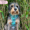 Disney© Tough Trails™ Harness - Jungle Book