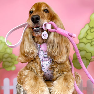 Disney© 4ft Rope Lead - Piglet - Pink