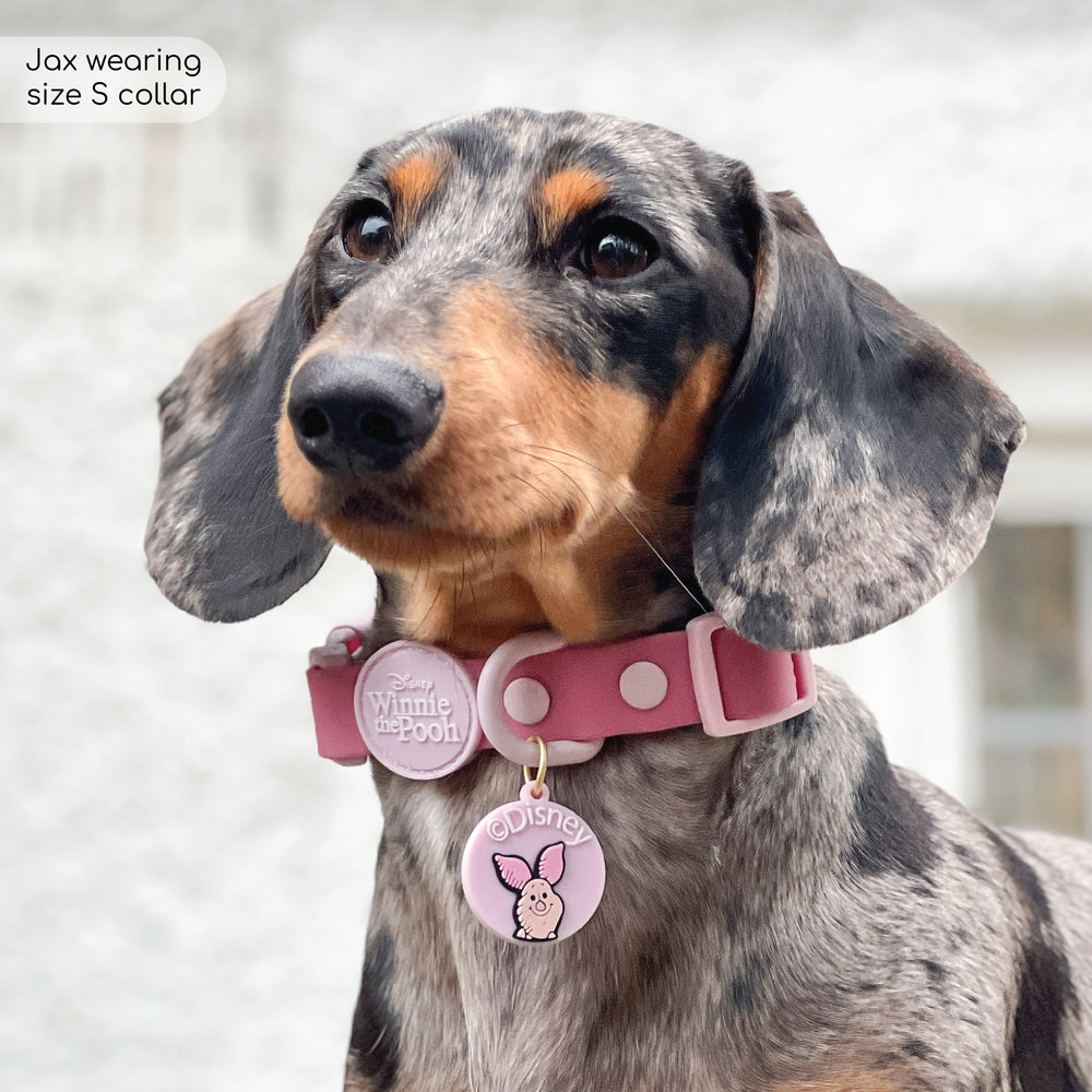 Disney© Waterproof Collar - Piglet