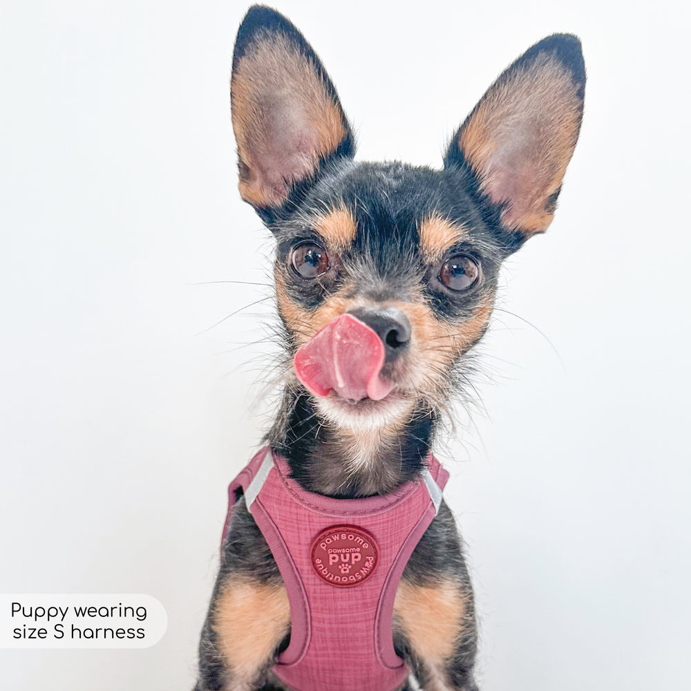 Pawsome Pup Harness - Burgundy