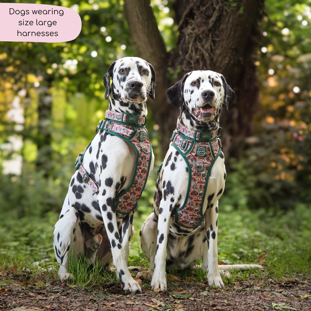 Tough Trails™ Harness -  Adventure Awaits