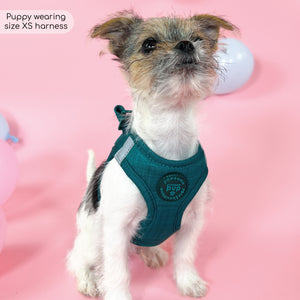 Pawsome Pup Harness - Emerald