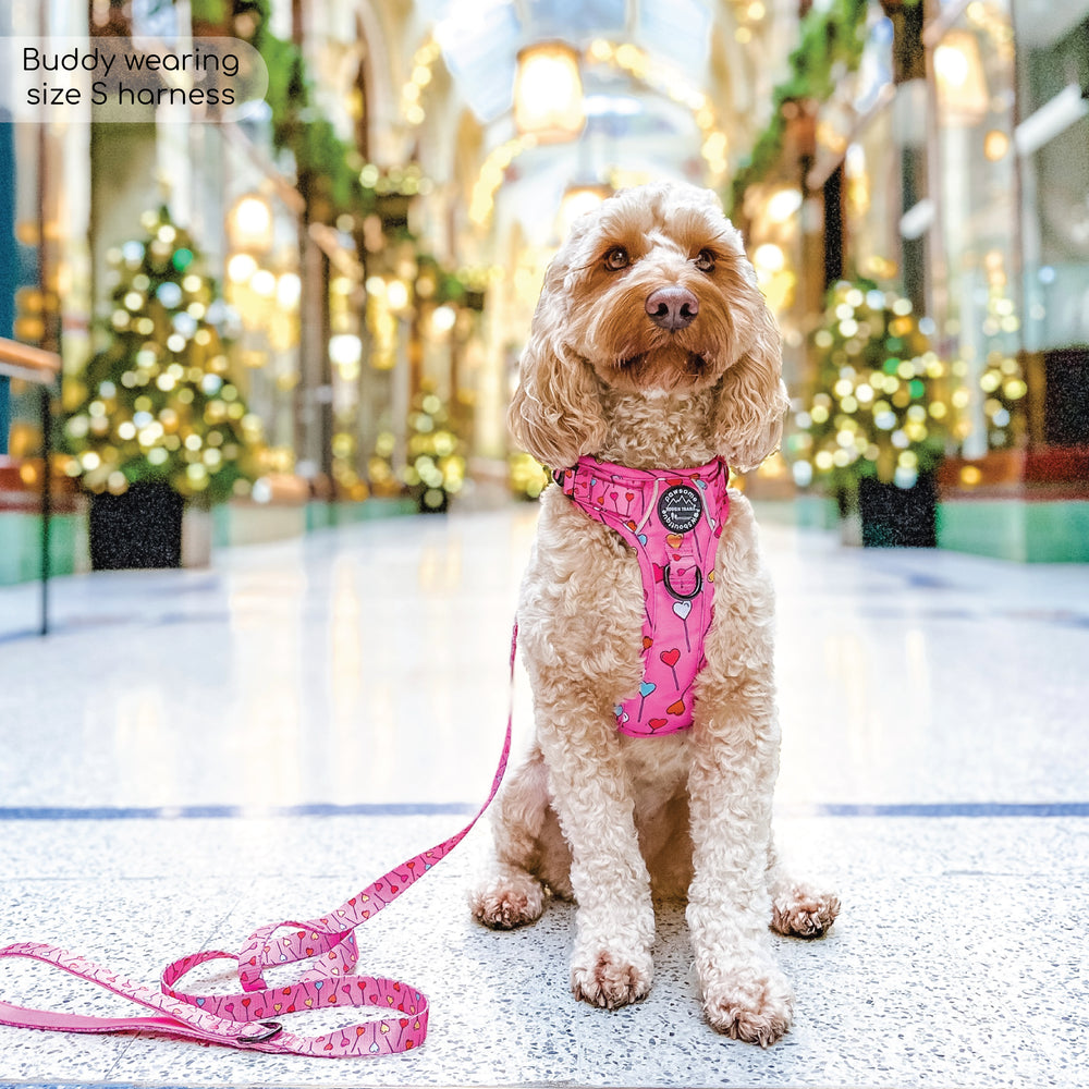 Tough Trails™ Harness - Candypop