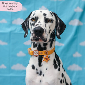 Disney© Waterproof Collar - Woody