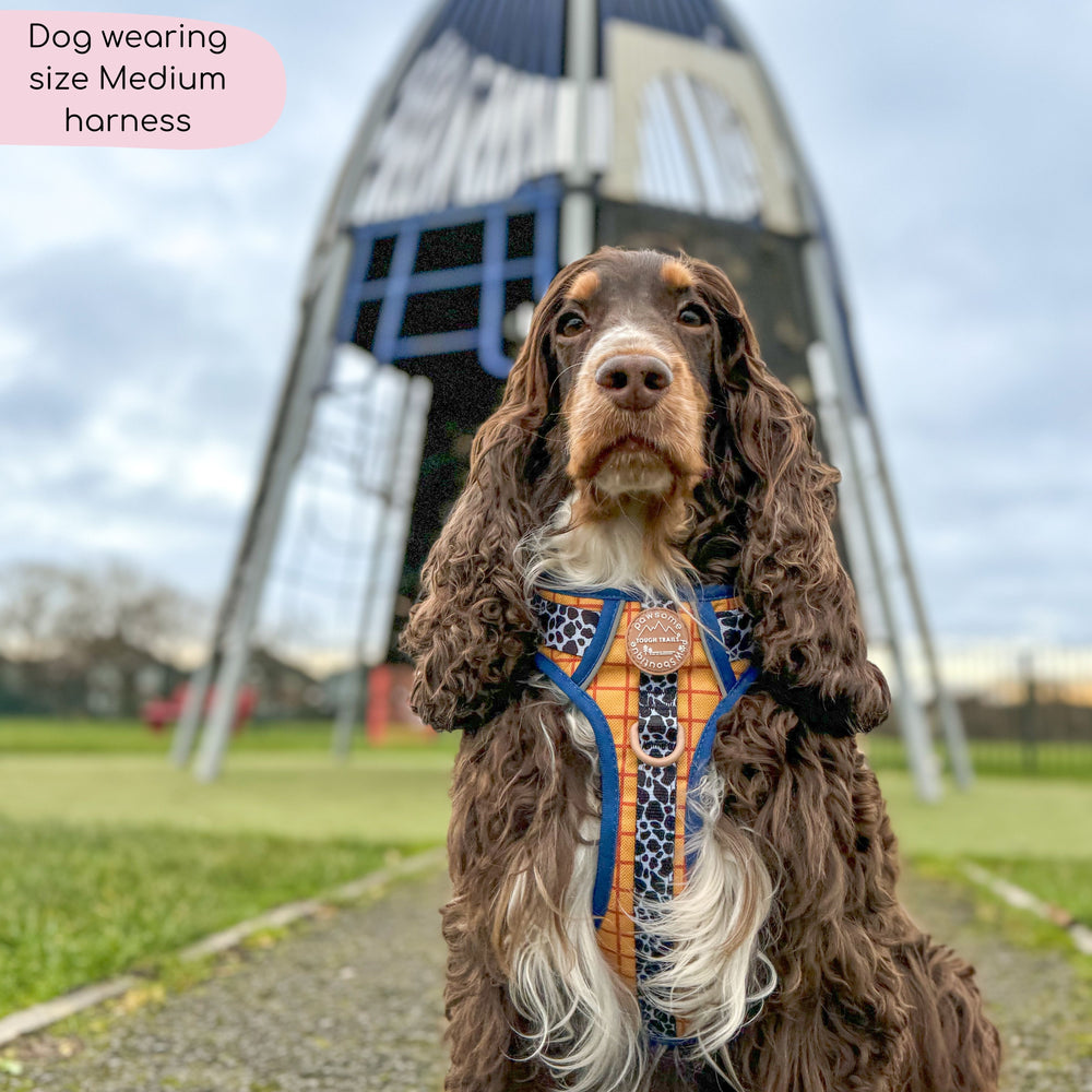 Disney© Tough Trails™ Harness - Woody