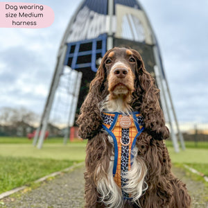 Disney© Tough Trails™ Harness - Woody