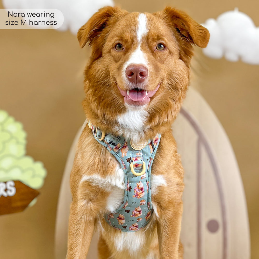 Disney© Tough Trails™ Harness - Winnie The Pooh