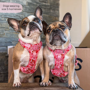 Disney© Tough Trails™ Harness - Jessie