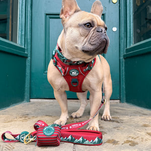 AdjustFit Lead - Walkies Ready® Snowy Mountains