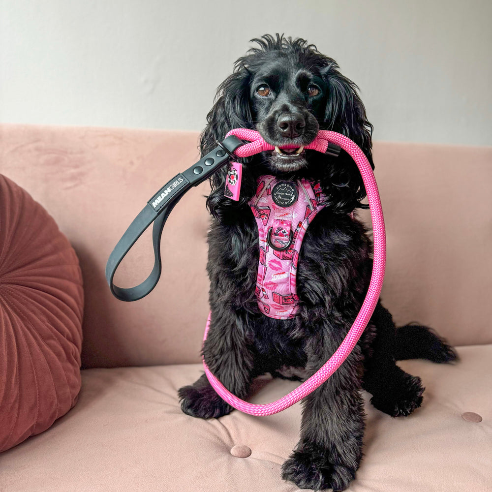 4ft Rope Lead - Mean Girls - Pink and Black