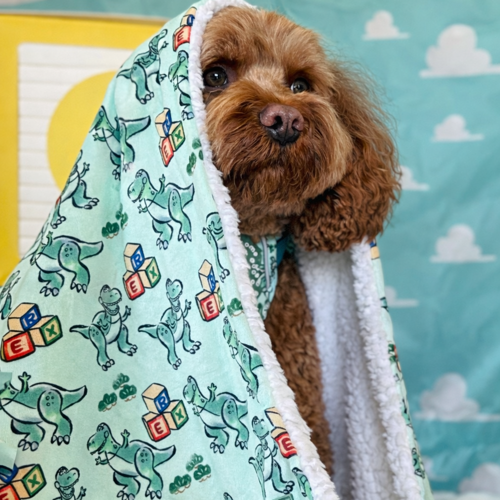 Disney© Dog Blanket - Rex