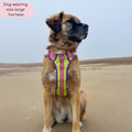 Disney© Tough Trails™ Harness - Buzz Lightyear