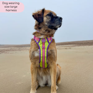 Disney© Tough Trails™ Harness - Buzz Lightyear