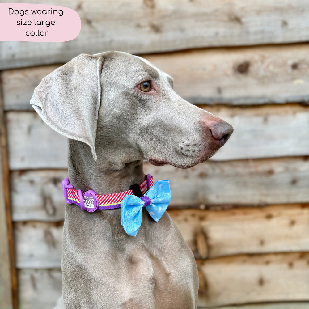 Disney© Collar - Buzz Lightyear