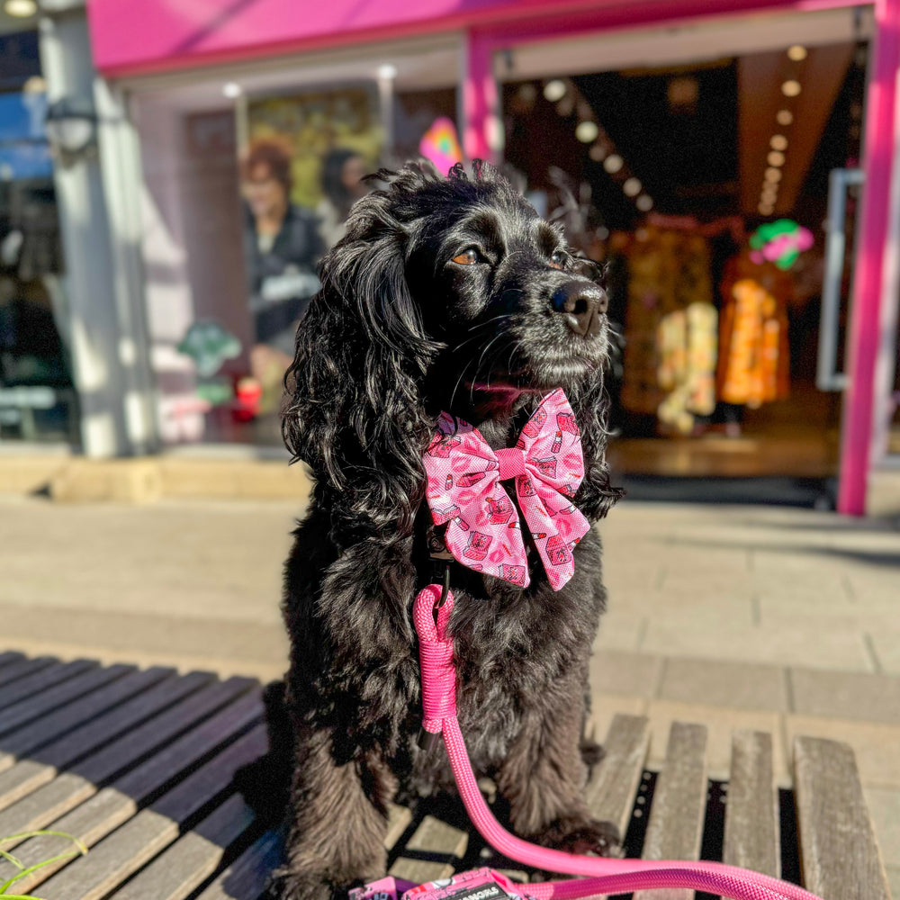 Sailor Bow -Mean Girls