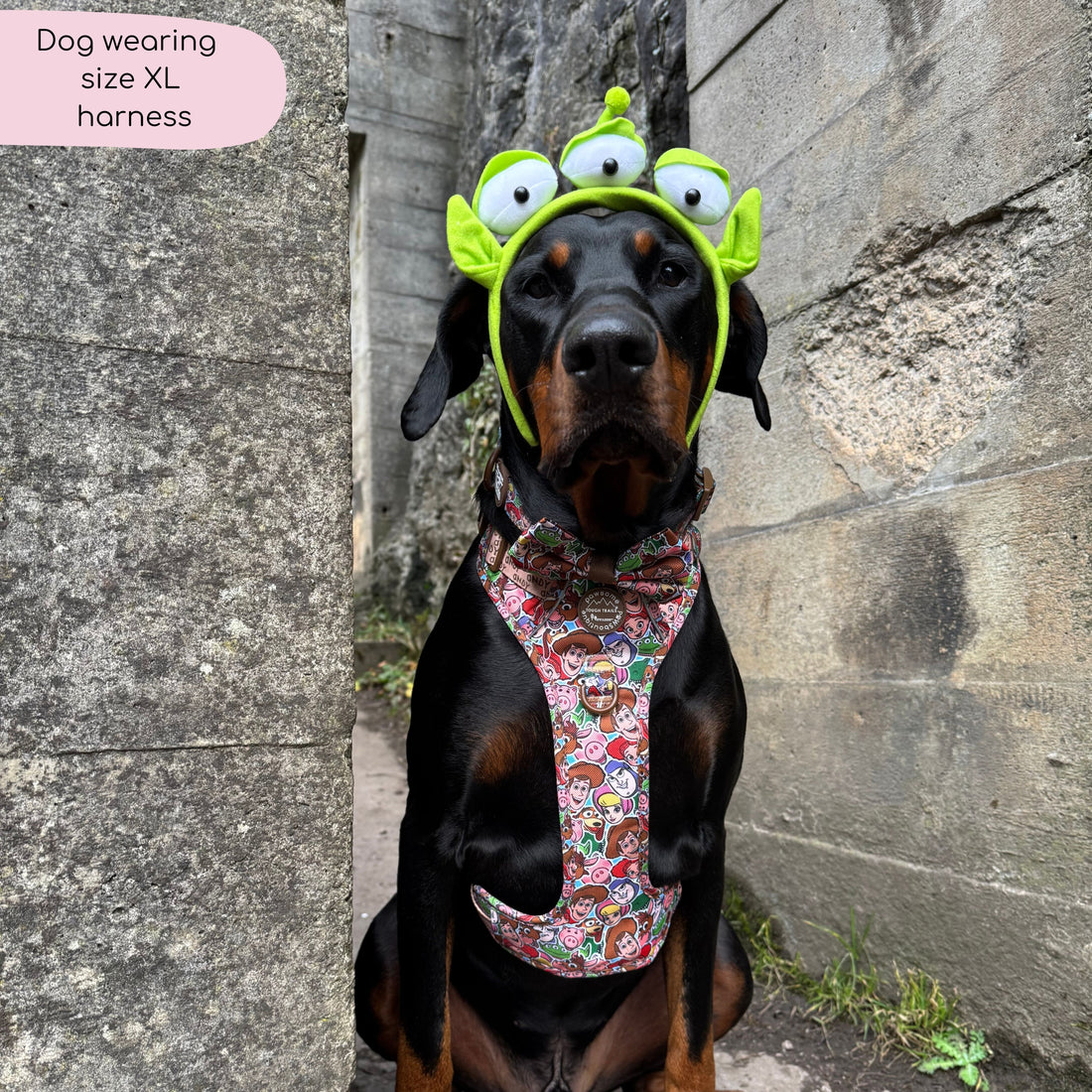 Disney© Tough Trails™ Harness - Toy Story Friends