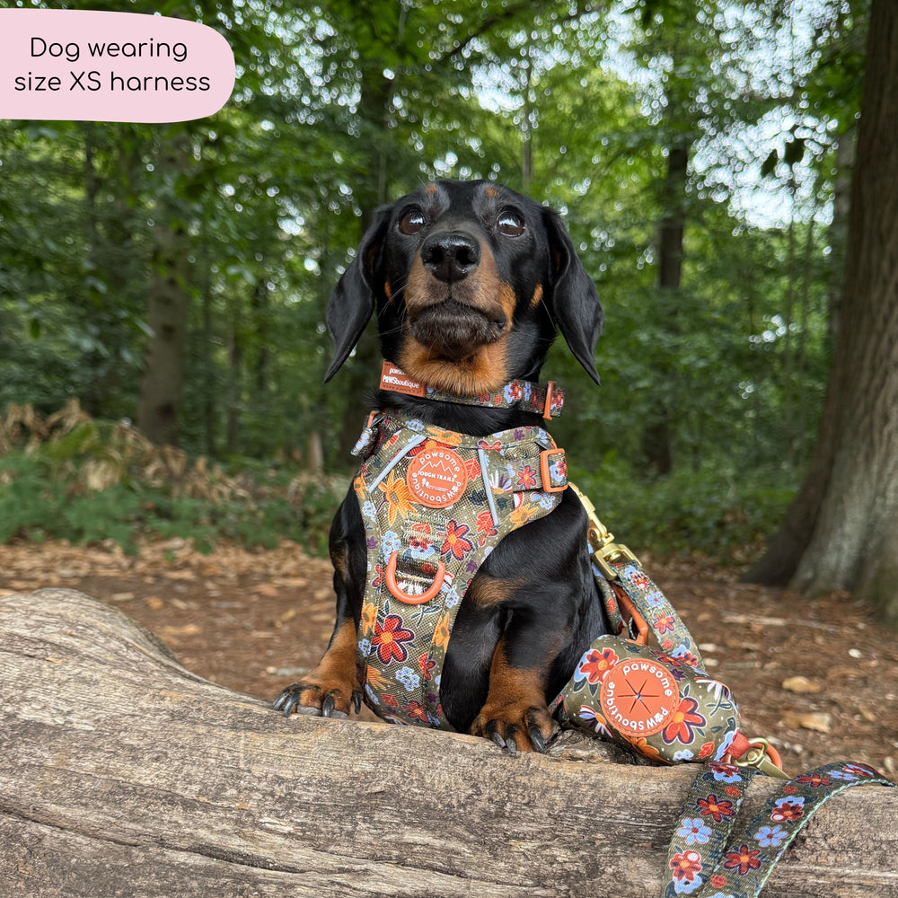 Tough Trails™ Harness - Rust & Bloom