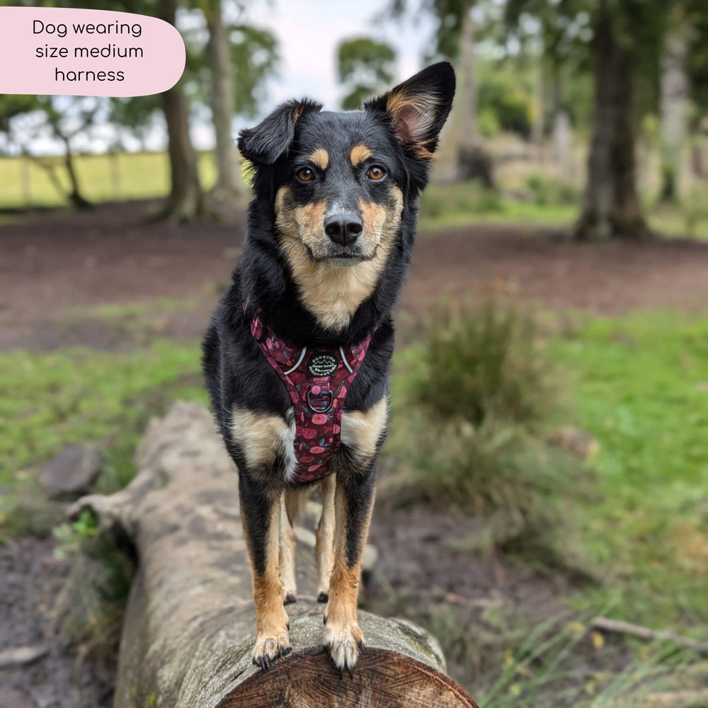 Tough Trails™ Harness - Mable's Meadow