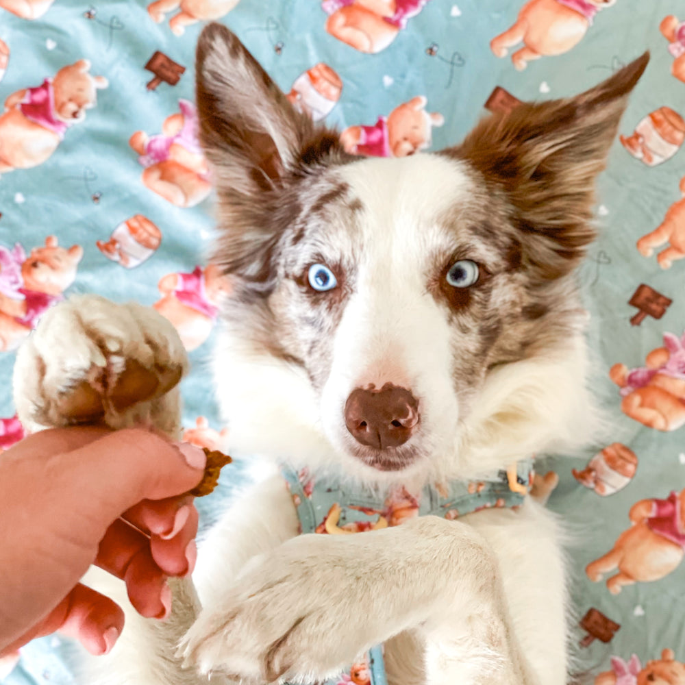 Disney© Dog Blanket - Winnie The Pooh