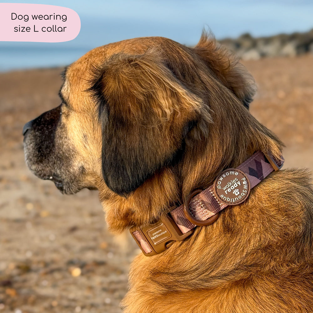 Collar – Walkies Ready® Chocolate Brown
