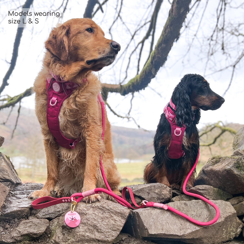 Tough Trails™ Harness - Walkies Ready® Raspberry Pink