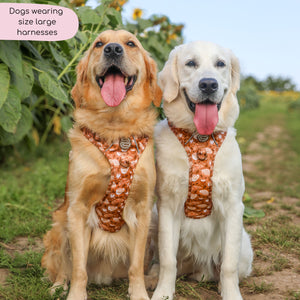 Tough Trails™ Harness - Cinnamon Spice