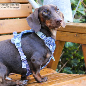 Disney© Tough Trails™ Harness -  Winnie + Friends