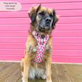 Tough Trails™ Harness - Chilli Dog