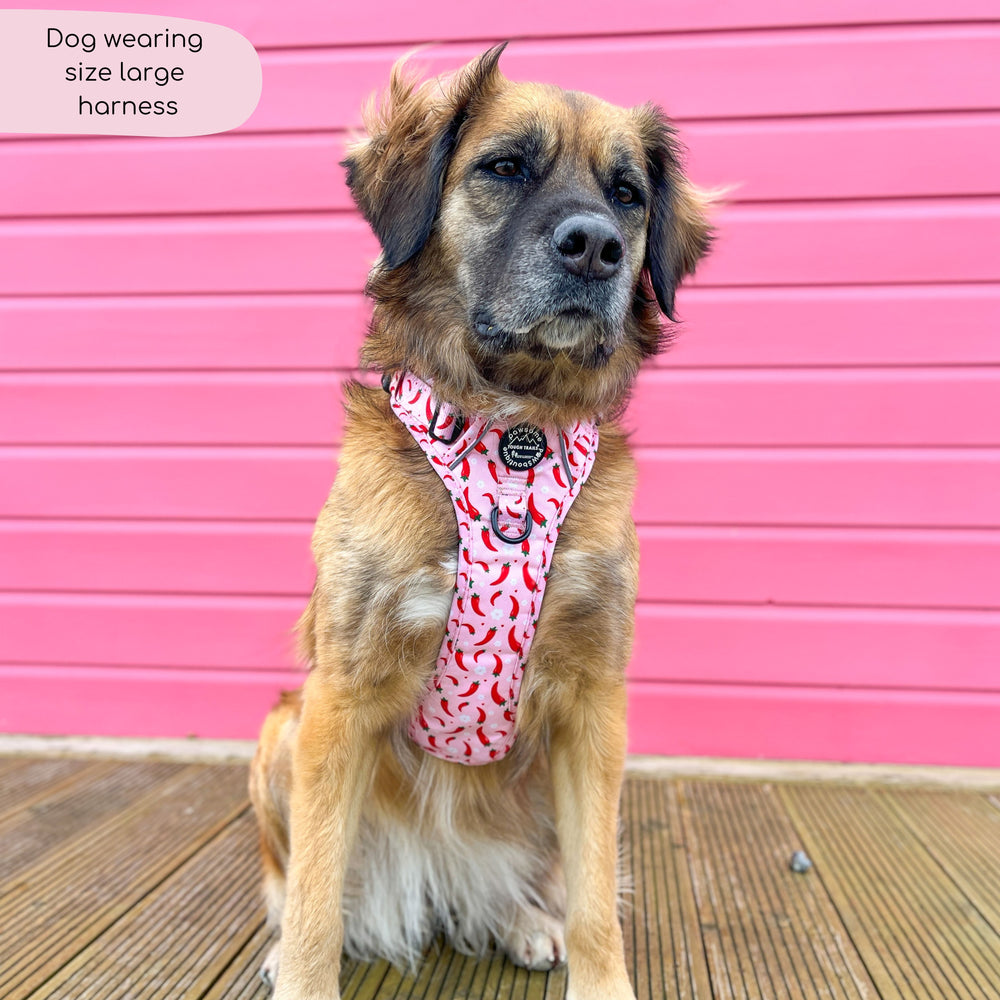 Tough Trails™ Harness - Chilli Dog