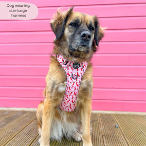 Tough Trails™ Harness - Chilli Dog