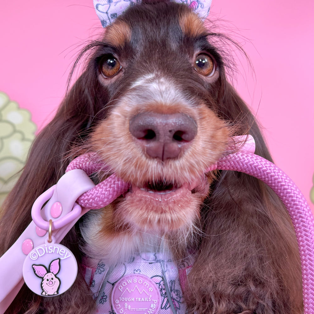 Disney© Collar/Lead Charm - Piglet