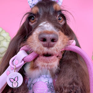 Disney© Collar/Lead Charm - Piglet