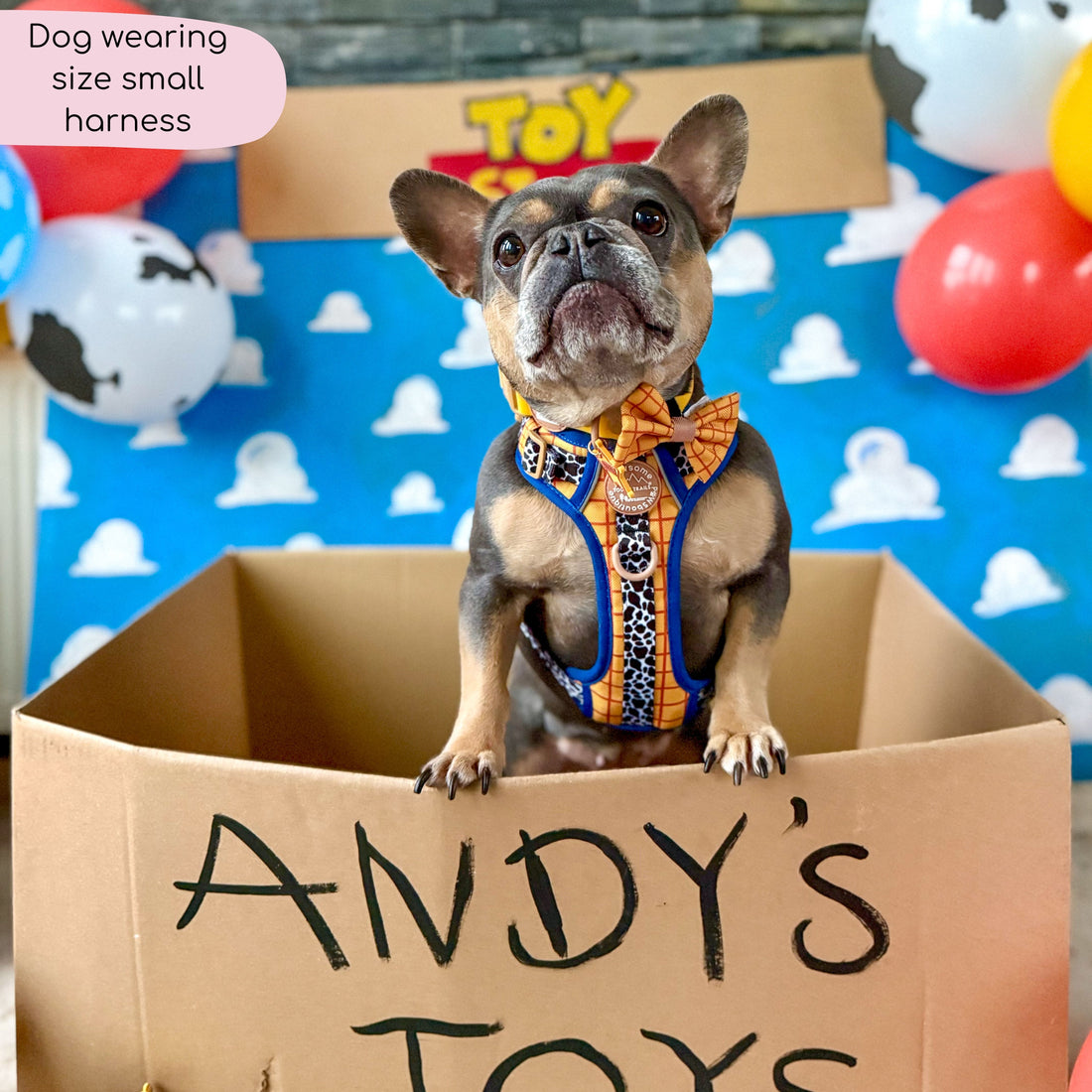 Disney© Tough Trails™ Harness - Woody